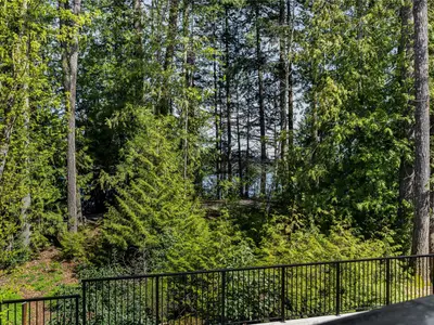 View 61