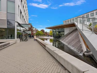 View 19