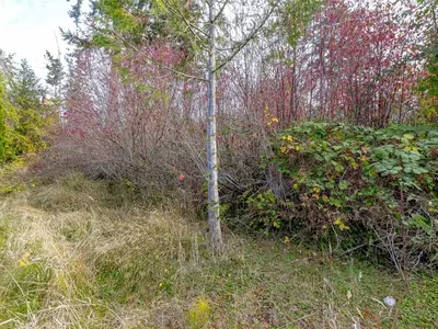 View 55
