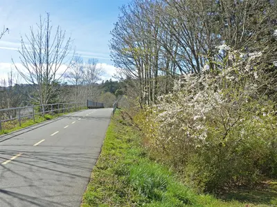 View 27