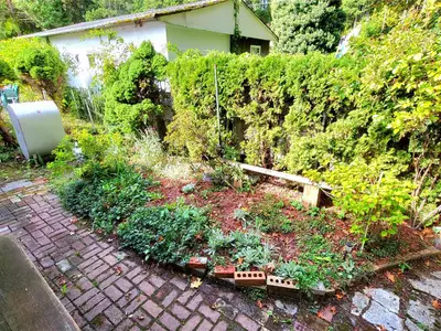 View 23