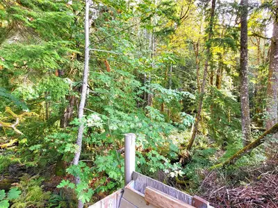 View 28