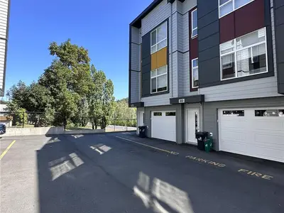 View 50