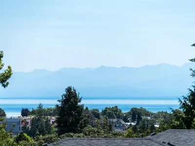 View 54