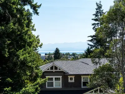 View 37