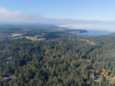 View 10
