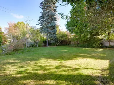 View 49