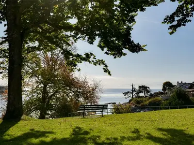 View 59