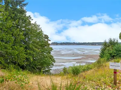 View 37