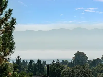 View 33