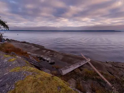 View 80