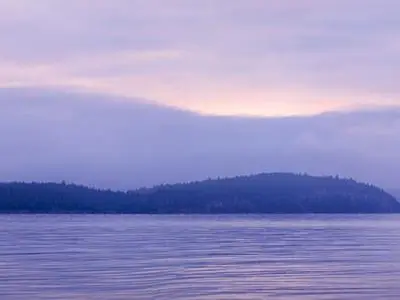 View 75