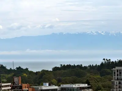 View 38