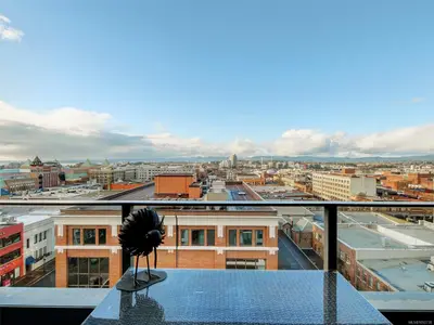 View 25