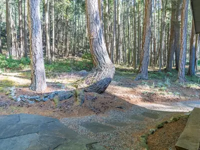 View 30