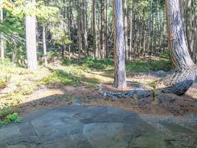 View 29
