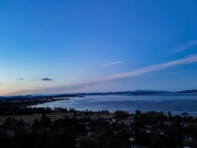 View 77