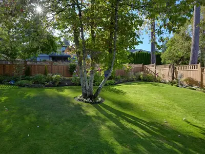 View 63
