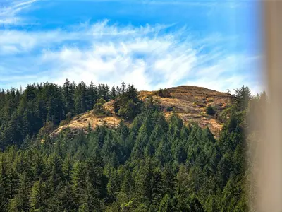 View 27