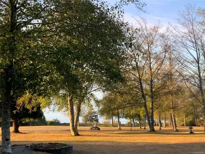View 91