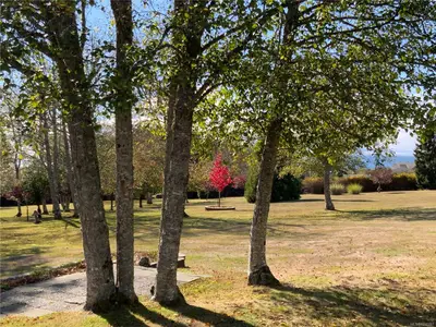 View 92