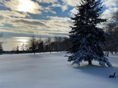 View 93