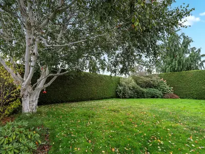 View 32