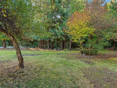 View 17
