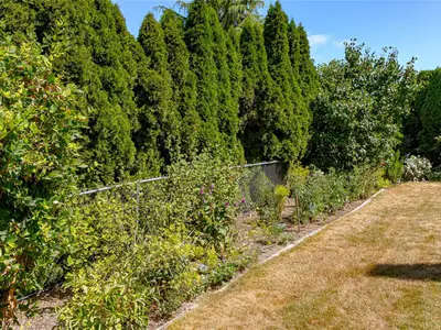 View 42