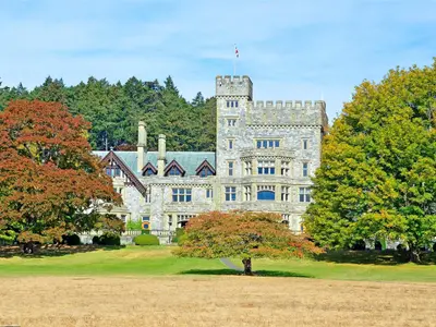 View 29