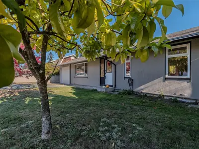 View 38