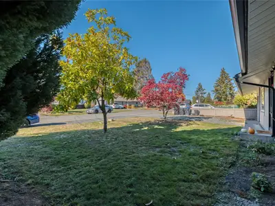 View 39