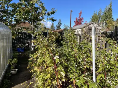 View 27