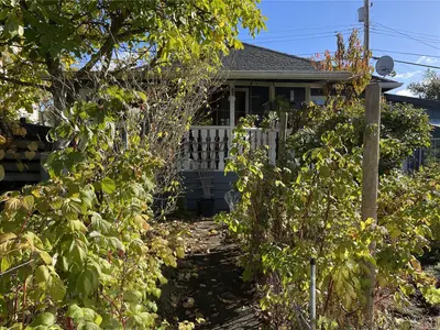 View 24