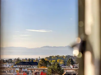 View 14