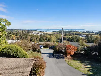 View 39