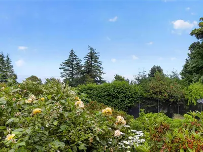 View 44