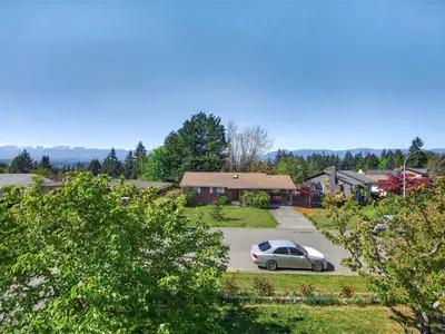View 59