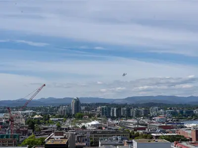 View 20
