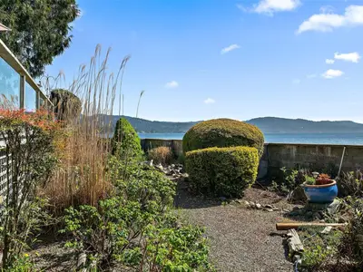 View 37