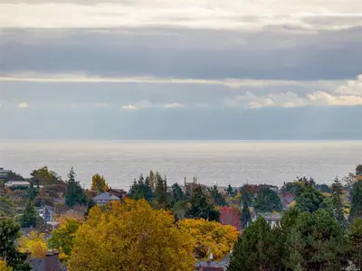 View 23