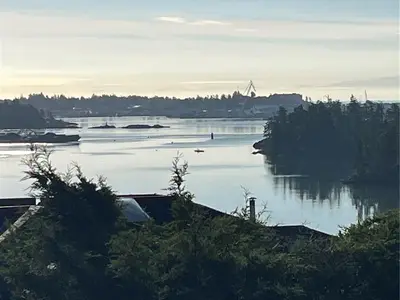 View 65