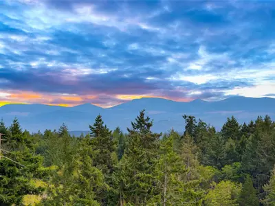 View 23