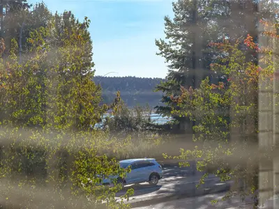 View 29