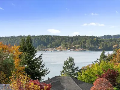 View 14