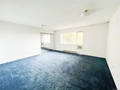 View 14