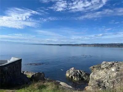 View 41
