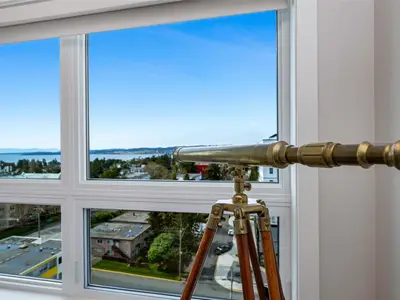 View 15