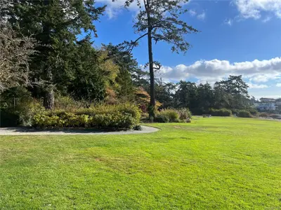 View 40