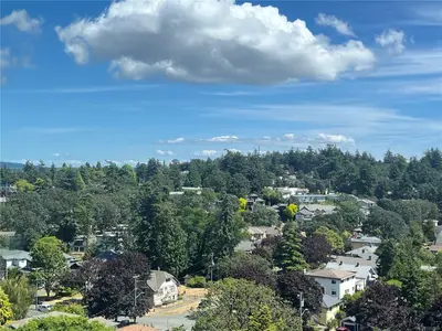 View 31